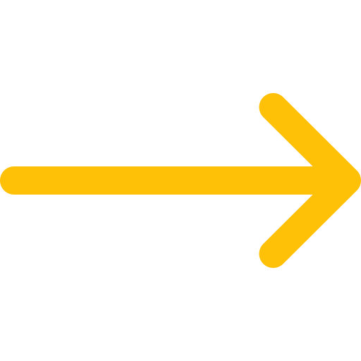 Seta